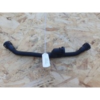 Патрубок (трубопровод, шланг) Audi A8 D3/4E 2006 079131605H