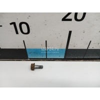 Болт суппорта Nissan Pathfinder (R51) (2005 - 2014) 411360W700