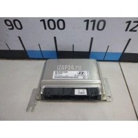 Блок управления двигателем Hyundai-Kia Santa Fe (SM)/ Santa Fe Classic (2000 - 2012) 3910837502