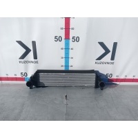 Интеркулер Exeed TXL 302000507AA
