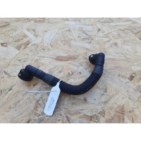 Патрубок (трубопровод, шланг) Audi A8 D3/4E 2006 079103209AK