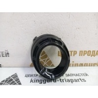 Молдинг бампера Exeed RX T22 2023-2024 602002624AA
