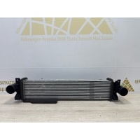 Радиатор интеркулера Exeed RX T22 2023-2024 302000800AA