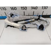 Подушка безопасности боковая (шторка) VAG Passat [B6] (2005 - 2010) 3C0880742B