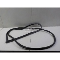Уплотнитель двери Toyota Corolla E12 (2001 - 2007) 6786102111