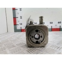 Теплообменник Audi A6 C5 (1997-2005) 2003 ,059117021B