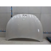Капот JAC J7 I 2021- 8402010U7300E