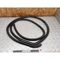 Уплотнитель двери передней правой Mercedes-Benz Vito 2006 A6396970098,A6396970698