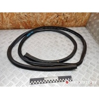 Уплотнитель двери передней левой Mercedes-Benz Vito 2006 A6396970098,A6396970698