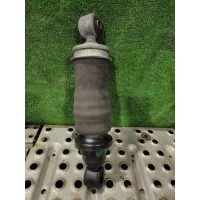 Пневмоподушка подвески кабины Mercedes-Benz Actros 2010 311663,9438903819