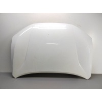 Капот Jetour Dashing 2022 F168402010CADY