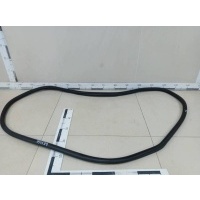 Уплотнитель проема двери задней левой Volkswagen Volkswagen Golf 6 (5K) 2009-2013 5K6867913A9B9