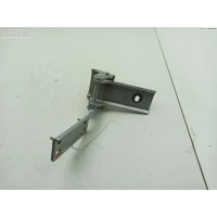 Петля крышки (двери) багажника L Peugeot 407 2004