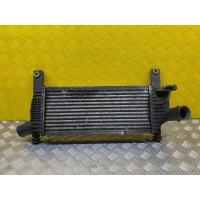 Интеркулер Nissan Pathfinder (R51M) 2004-2013 Внедороник 2006 14461EB360