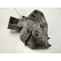 Кронштейн двигателя опорный Renault Scenic I (1996-2003) 2003 8200196206