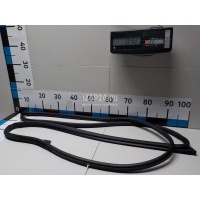 Уплотнитель двери Hyundai-Kia Santa Fe (CM) (2006 - 2012) 821302B000