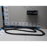 Уплотнитель двери Hyundai-Kia Santa Fe (CM) (2006 - 2012) 821402B000