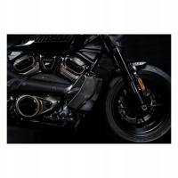 Karbonowa крышка радиатора i боковина zard для harley - davidson sportster s