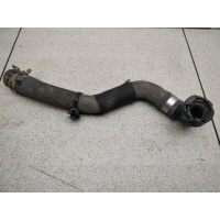 Патрубок радиатора renault Kaptur 2016- 217411622R
