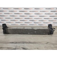 Интеркулер RENAULT Megane 3 2009 144960006R, 144960006R, 144961285R, 144964990R