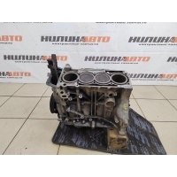 Блок двигателя SKODA Octavia A5 2011 03F100031FX, 03F100091A, 03F100091AX, 03F100031FX, 03F100031F