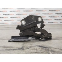Петля капота VOLKSWAGEN Passat B7 2012 3AA823301, 3C0823301D, 3C0823301E, 3C0823301A, 3C0823301B, 3C0823301C, 3AA823301