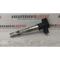 Катушка зажигания Volkswagen Passat B6 2007 06F905115F, 06H905115B, 06H905115A, 06H905115, 07K905715G, 07K905715F, 07K905715, 07K905715D, 06F905115F