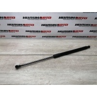 Амортизатор крышки багажника Audi A4 B7 2006 8E9827552H, 8E9827552H, 8E9827552H, 8E9827552K