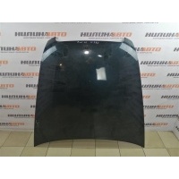 Капот AUDI A6 C6 2004 4F0823029F, 4F0823029F, 4F0823029D, 4F0823029E, 4F0823029F