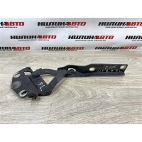 Петля капота VOLKSWAGEN Passat B6 2009 3C0823301E, 3C0823301E, 3AA823301, 3C0823301A, 3C0823301B, 3C0823301C, 3C0823301D, 3C0823301E