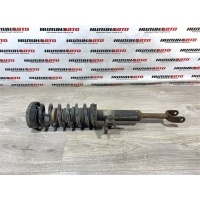 Амортизатор подвески (стойка) BMW 5 F10 F11 2011 31316789364