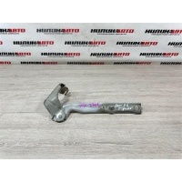 Петля капота Volkswagen Tiguan 1 2010 5N0823301A, 5N0823301A, 5N0823301