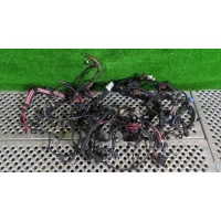 Проводка двигателя Renault Fluence 2011 240111496R