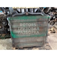 Интеркулер MAZ-MAN 540559 2013 89702005,81061300231,X6768001