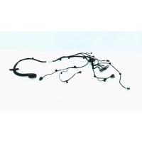 Проводка двери Geely Monjaro KX11 2024 8894950310