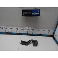 Петля двери багажника Citroen-Peugeot 4007 (2008 - 2013) 8613E7