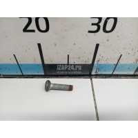 Болт BMW X6 E71 (2008 - 2014) 31206783065