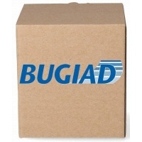 Bugiad коллектор впускной bim17000