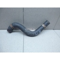 Патрубок радиатора Toyota Prius (2009 - 2015) 1657137140