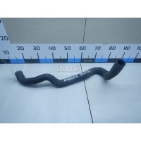 Патрубок радиатора Renault Sandero (2009 - 2014) 215012563R