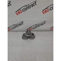 Гайка ступичная Volkswagen Touareg NF 2013 7L0407396, WHT006779