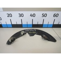 Пыльник тормозного диска Renault Scenic III (2009 - 2015) 411500939R