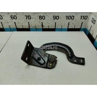 Петля двери багажника Citroen-Peugeot 3008 (2010 - 2016) 8613F6