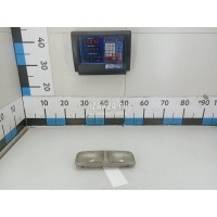 Плафон салонный DAF XF 105 (2005 - 2013) 1872590