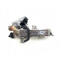 ZAWÓR EGR BMW F20/F21/F30/F90 2 , 0D (MODUŁ)