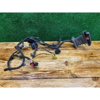 Проводка двери задней левой Volkswagen Golf 5 2005 1K0959843C, 1K0941907