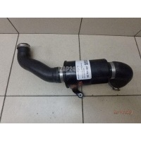 Патрубок интеркулера BMW Countryman R60 (2010 - 2016) 13719804248