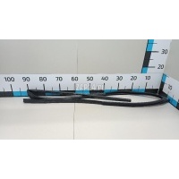 Уплотнитель стекла двери Honda CR-V (2012 - 2018) 72235T1GE01