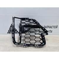 Решетка бампера BMW X7 G07 M-Pack 2019-2022 51118069890