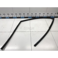 Уплотнитель стекла двери Renault Sandero 2014 803305768R